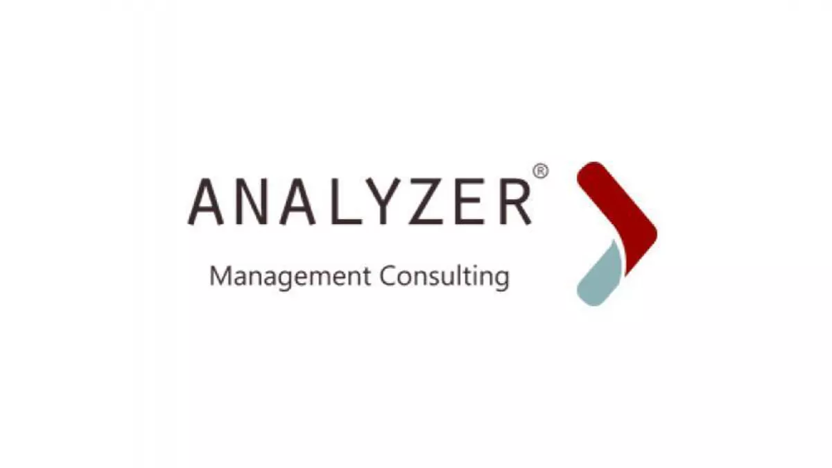 Analyzer Management Consulting 1