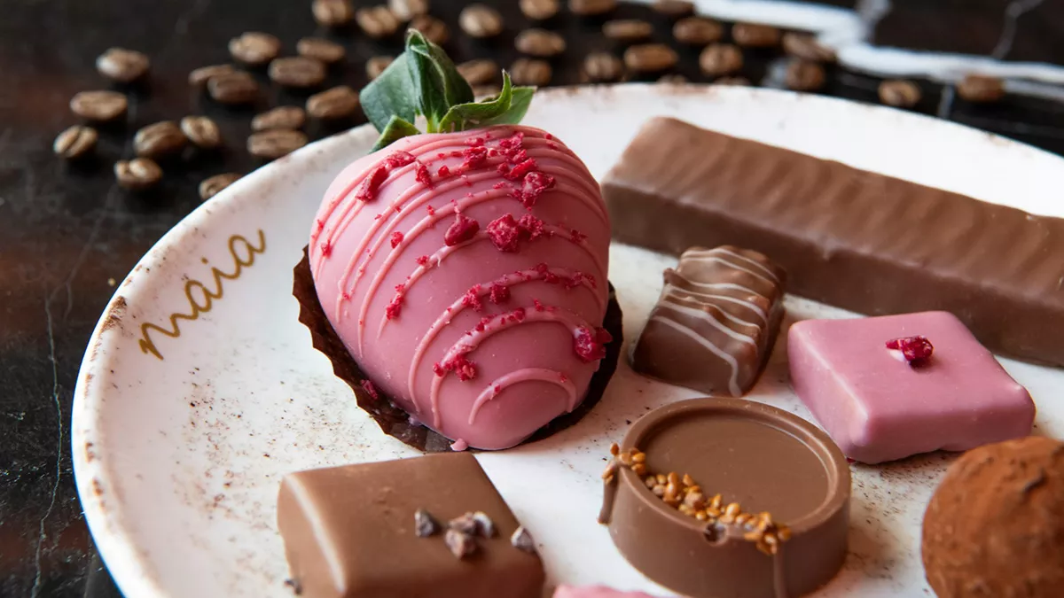 Maia Coffee & Chocolate 2