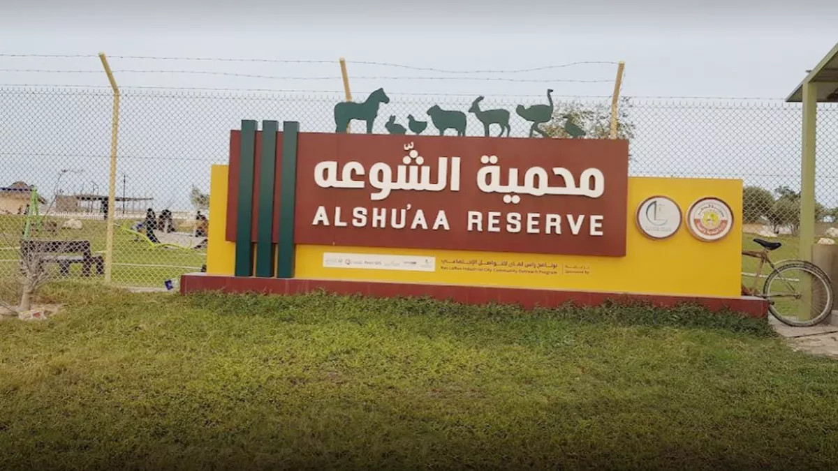Al Shuaa Reserve 8
