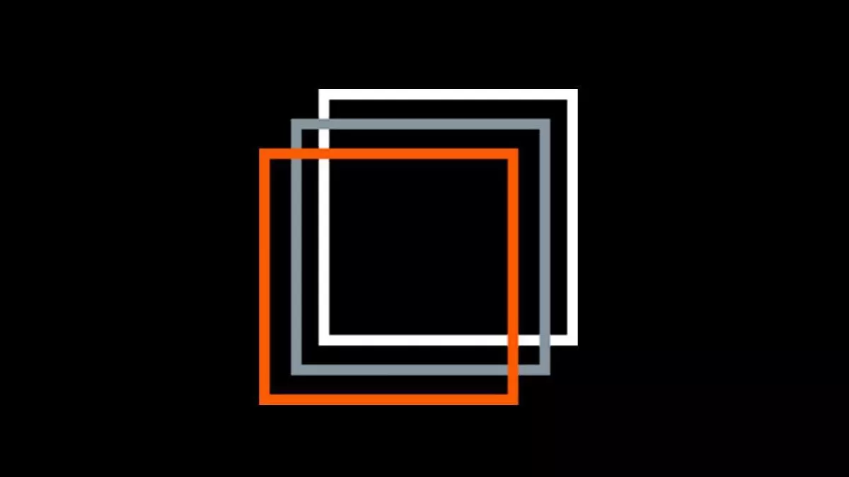 Beyond Perspective Video Services 1