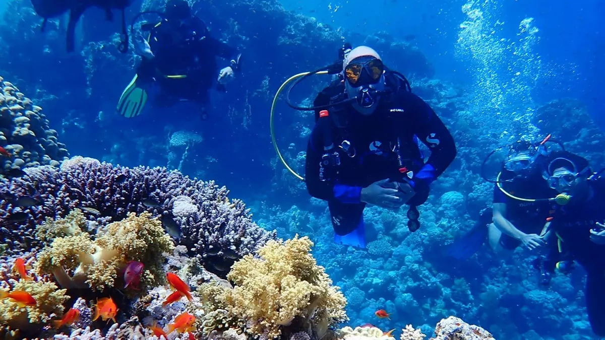 Alghais Diving Doha Port 1