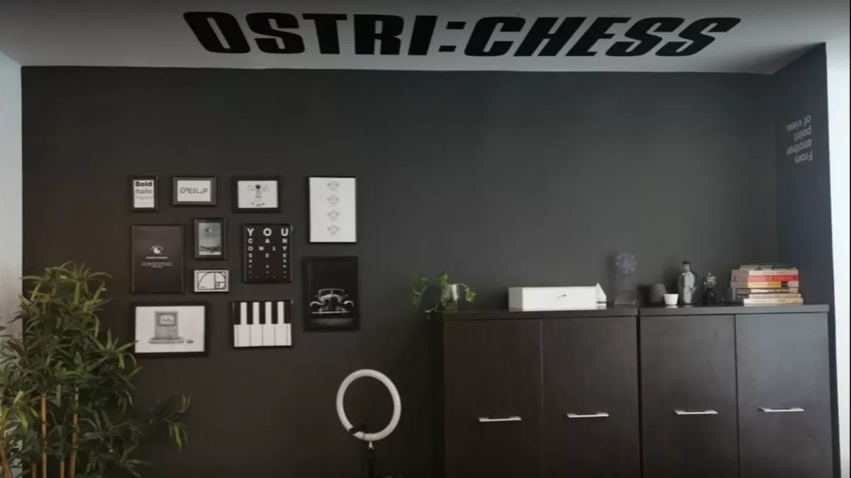Ostrichess Branding & Marketing 1