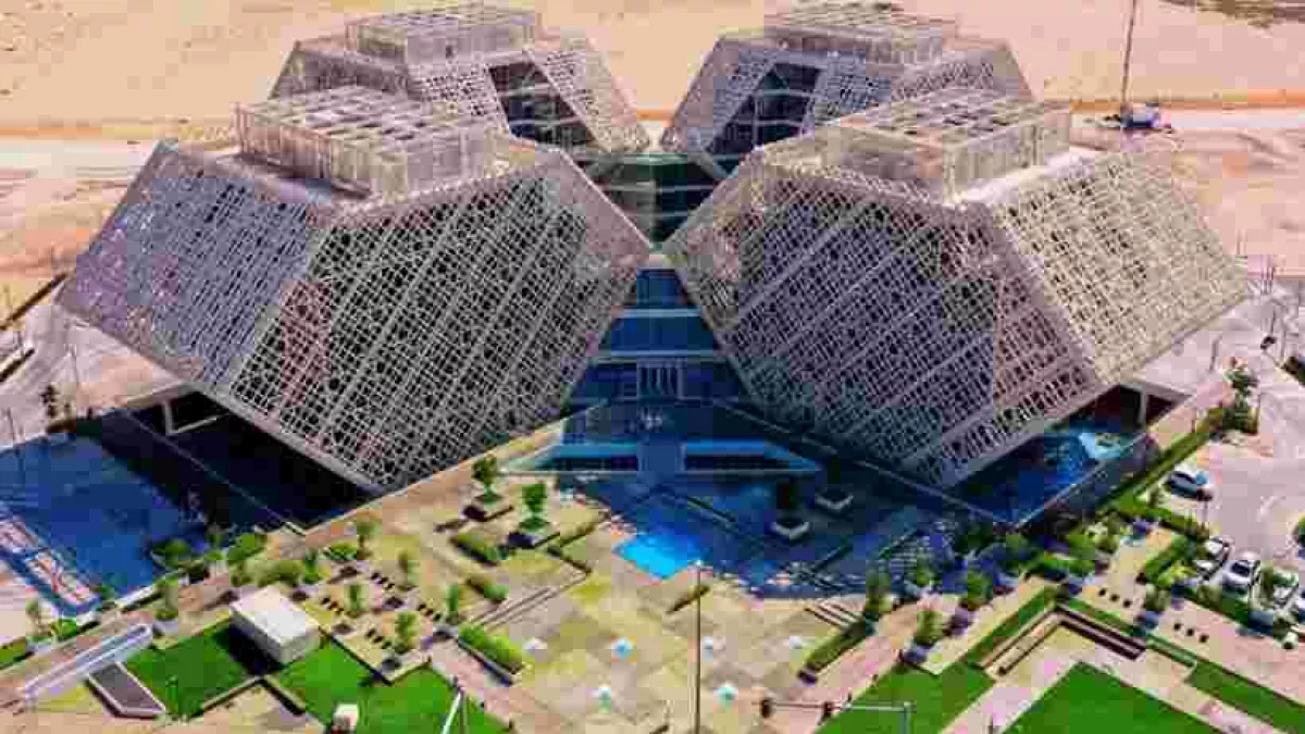 Vibes Web Design Company In Qatar 1