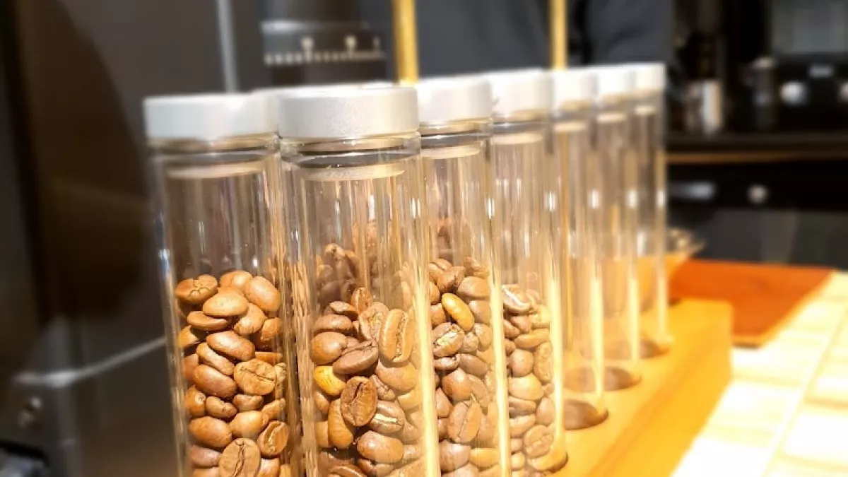 Wings Coffee Roasters 5