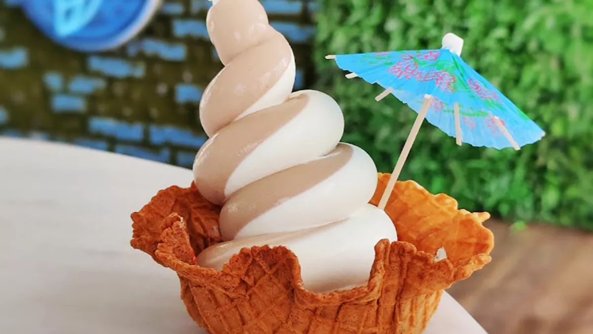 Owl Speciality Coffee 1