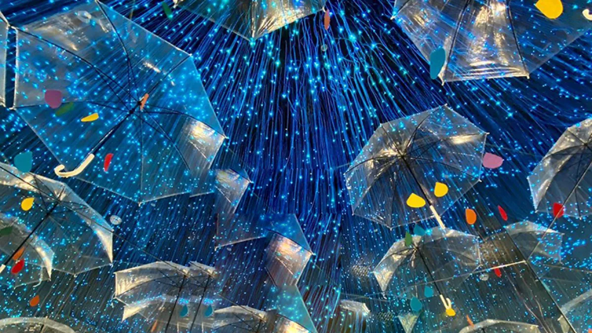 Museum of Illusions 4