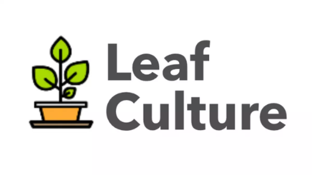 Leaf Culture 1