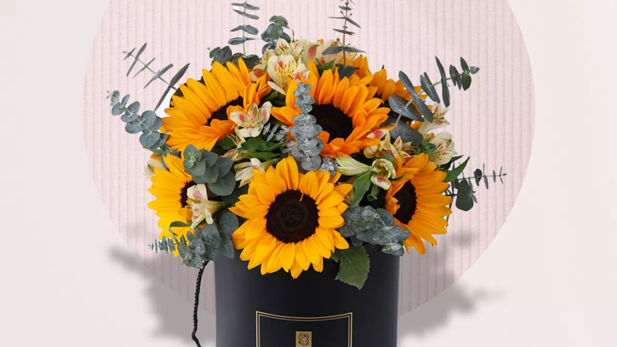 Black Tulip Flowers 1