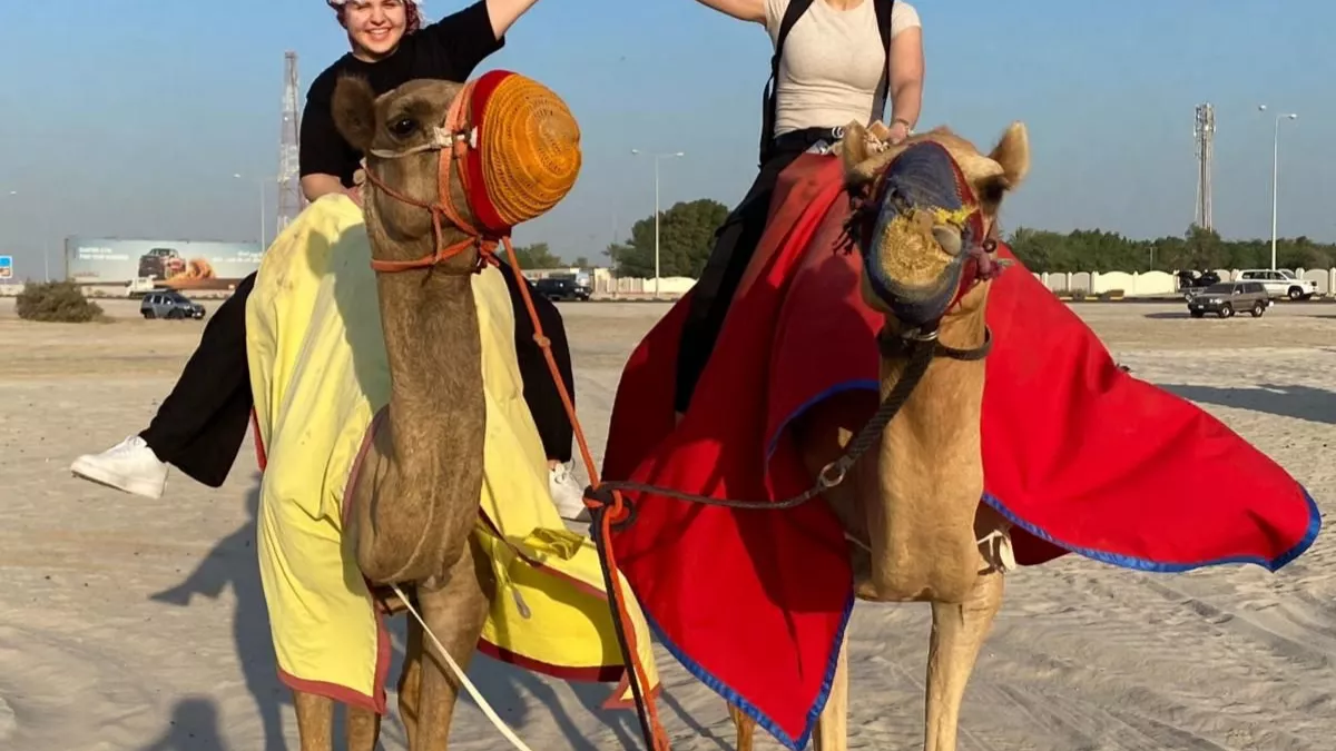 Golden Skyline Adventure 1