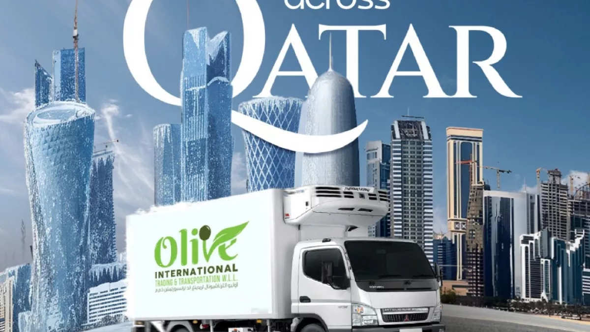 Olive INTERNATIONAL Trading & Transport 1