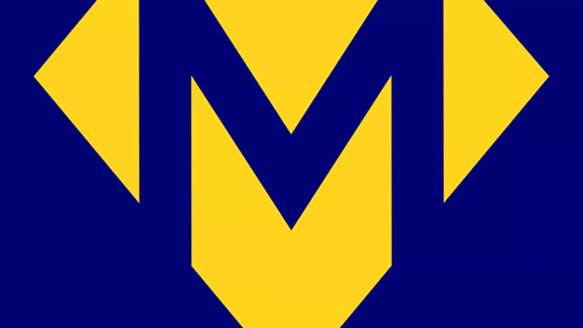 Almas Movers International 3