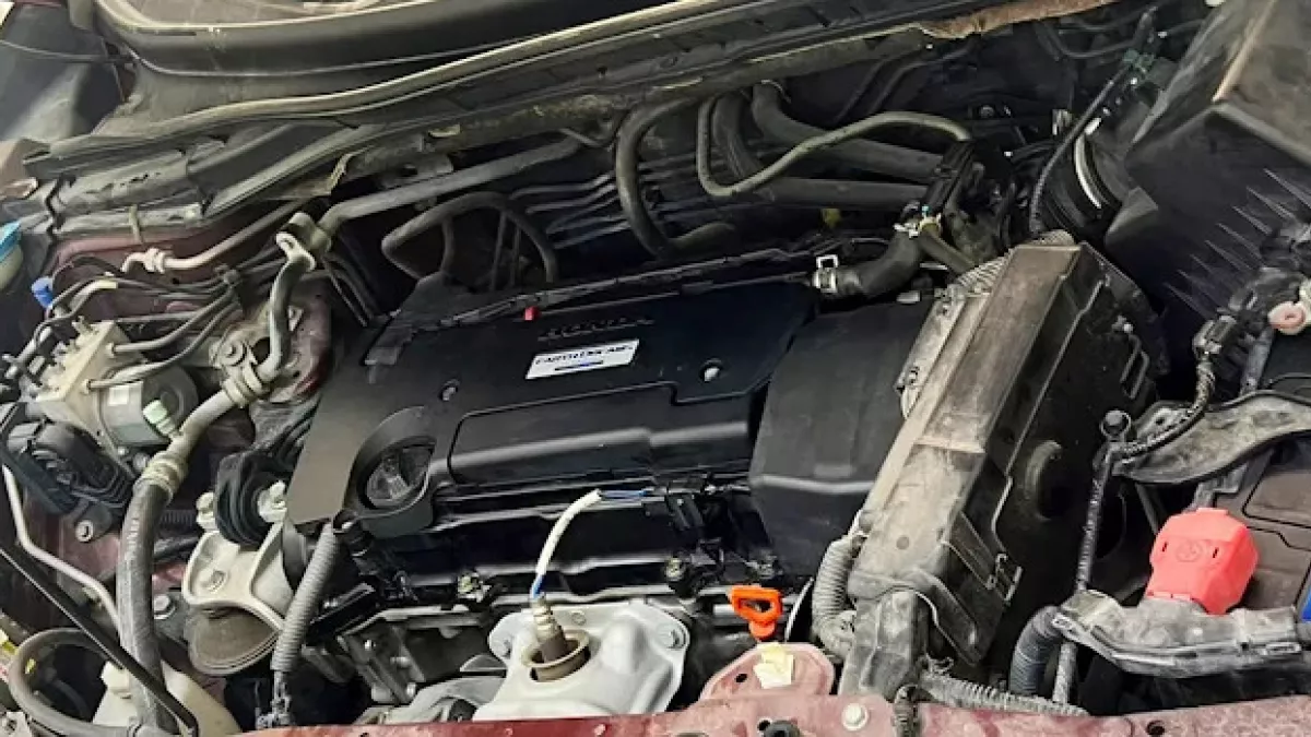 Al Maaded Trading & Technical Services 6