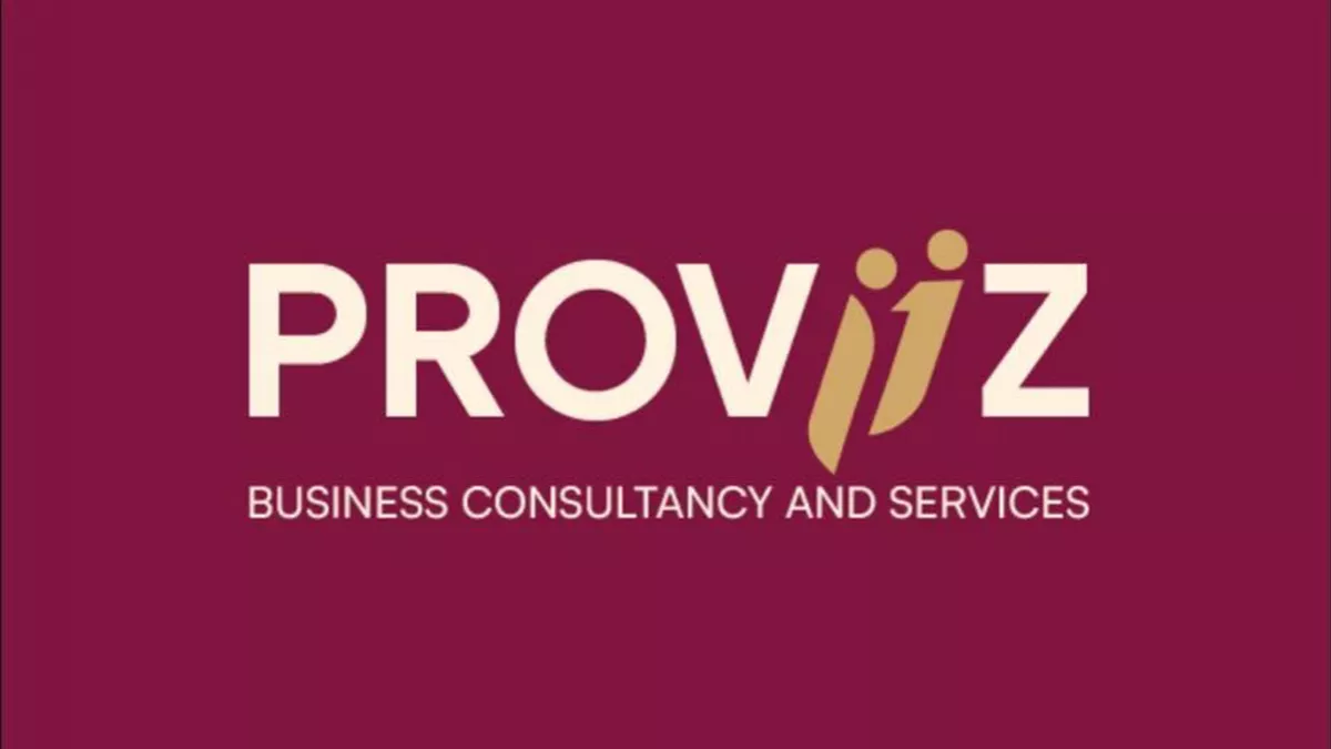 PROVIIZ CONSULTANCY AND SERVICES 2