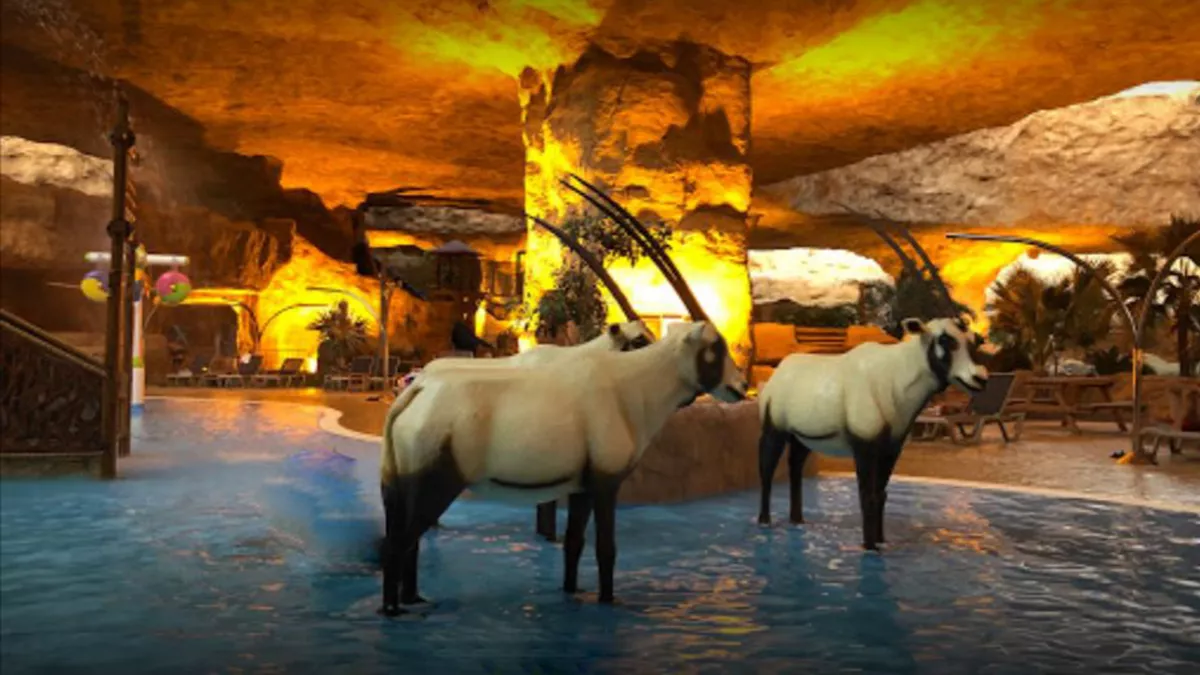 Desert Falls Water & Adventure Park 2