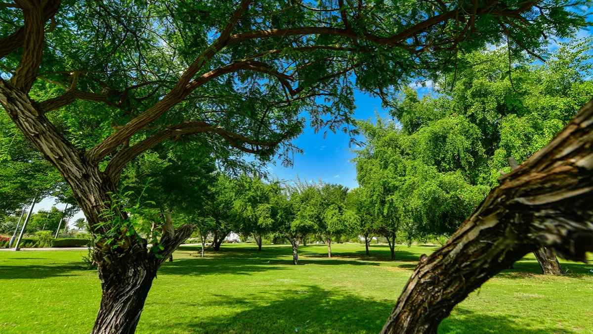 Al Bidda Park Phase 2A 5