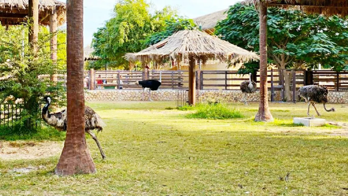 Al Khor Park 3