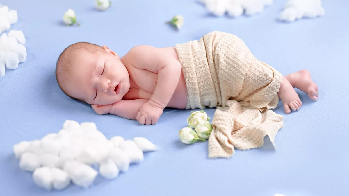 4Dimensions Studio Dmcc 3