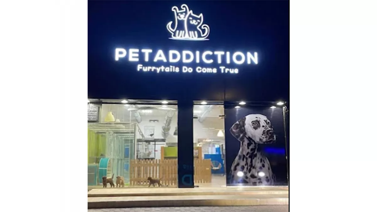 Petaddiction pets 1