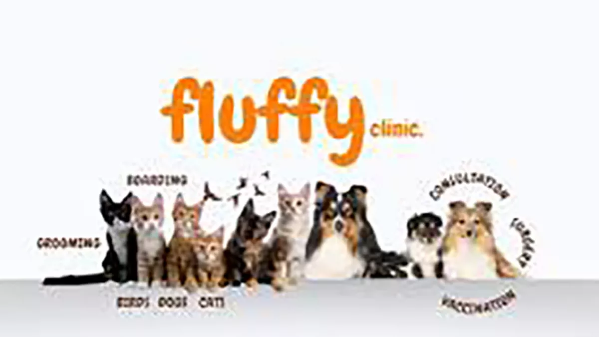 Fluffy Cats Veterinary Clinic LLC 1