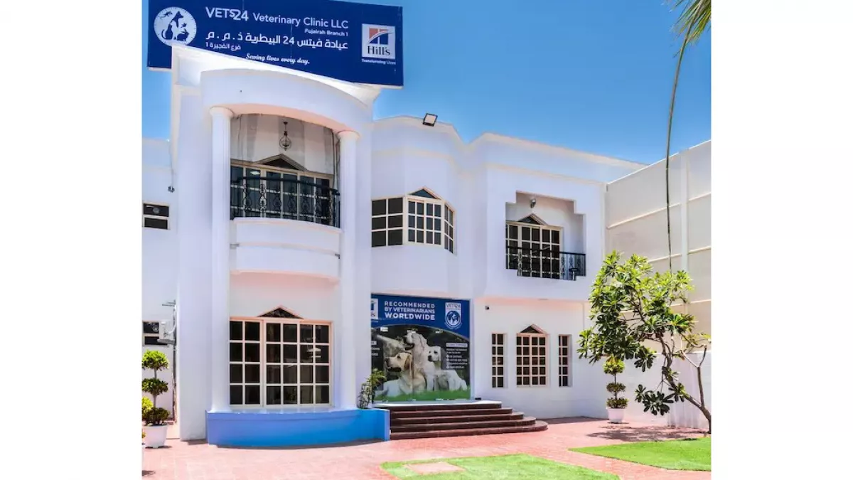 Vets24 Veterinary Clinic 1