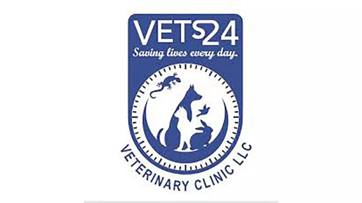 Vets24 Veterinary Clinic 2
