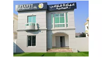 Fluffy Cats Veterinary Clinic LLC