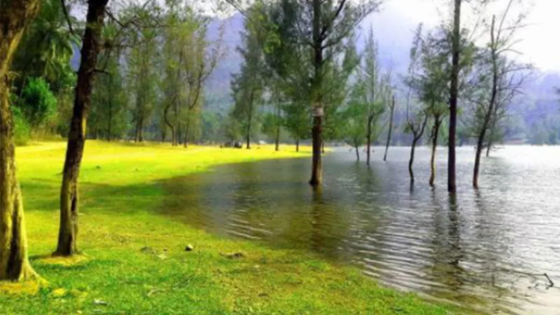 Kariyathumpara