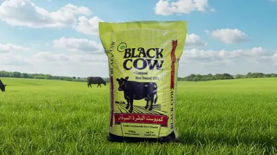 سماد البقرة السوداء - بلاك كاو / Black Cow Manure